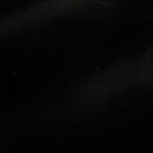 Silver Framed Floral Art Prints